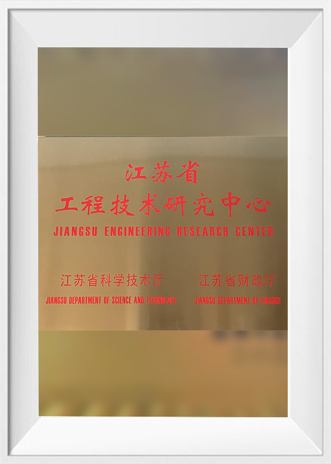 Centro de Investigación de Tecnología de Ingeniería Provincial de Jiangsu